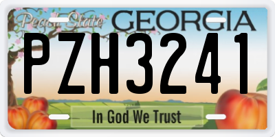 GA license plate PZH3241