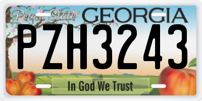 GA license plate PZH3243