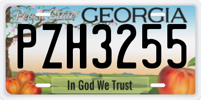 GA license plate PZH3255