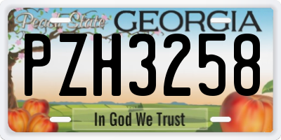 GA license plate PZH3258