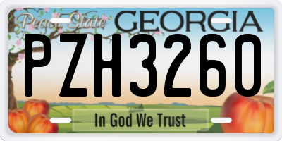 GA license plate PZH3260