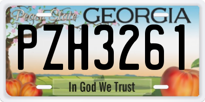 GA license plate PZH3261