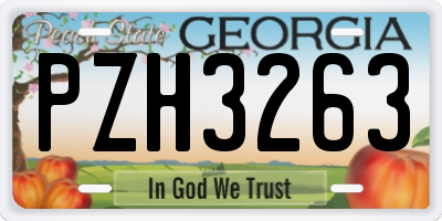 GA license plate PZH3263