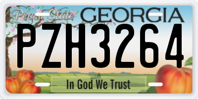 GA license plate PZH3264