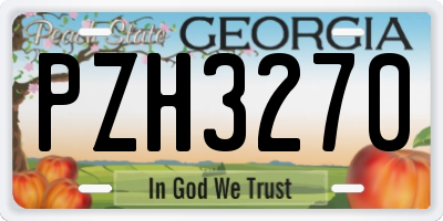 GA license plate PZH3270