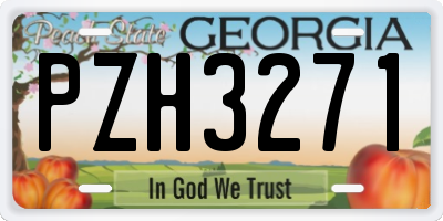 GA license plate PZH3271