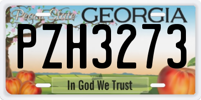GA license plate PZH3273