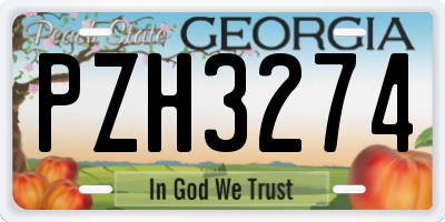 GA license plate PZH3274
