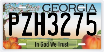 GA license plate PZH3275