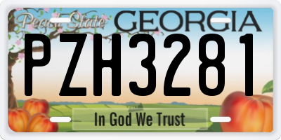 GA license plate PZH3281