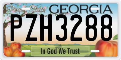 GA license plate PZH3288