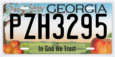 GA license plate PZH3295
