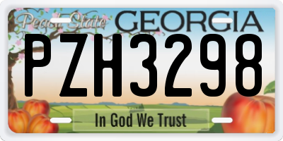 GA license plate PZH3298