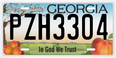 GA license plate PZH3304