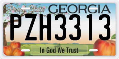 GA license plate PZH3313