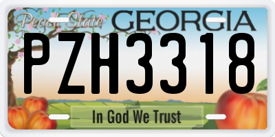 GA license plate PZH3318