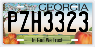 GA license plate PZH3323