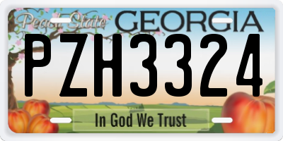 GA license plate PZH3324