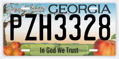 GA license plate PZH3328