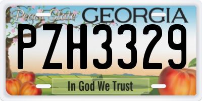 GA license plate PZH3329