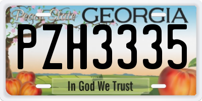 GA license plate PZH3335