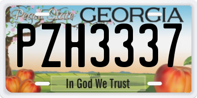 GA license plate PZH3337