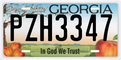 GA license plate PZH3347