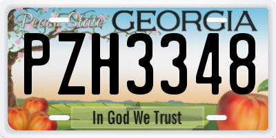 GA license plate PZH3348