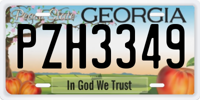 GA license plate PZH3349