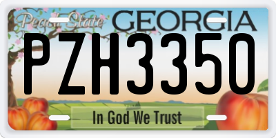 GA license plate PZH3350