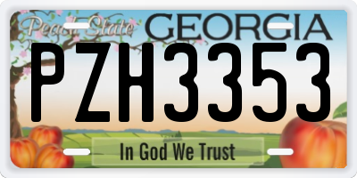 GA license plate PZH3353