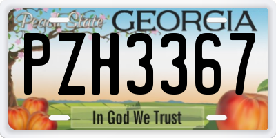 GA license plate PZH3367