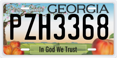 GA license plate PZH3368