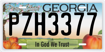 GA license plate PZH3377