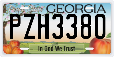 GA license plate PZH3380