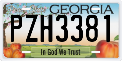GA license plate PZH3381