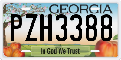 GA license plate PZH3388