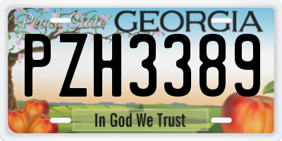 GA license plate PZH3389