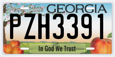 GA license plate PZH3391