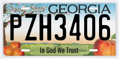 GA license plate PZH3406