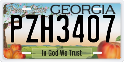 GA license plate PZH3407