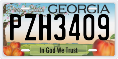 GA license plate PZH3409