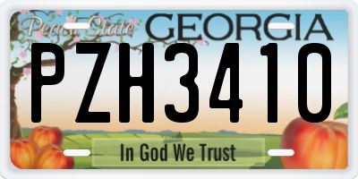 GA license plate PZH3410