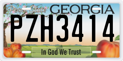 GA license plate PZH3414
