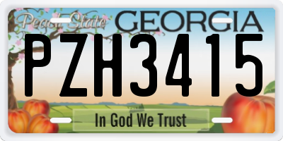 GA license plate PZH3415