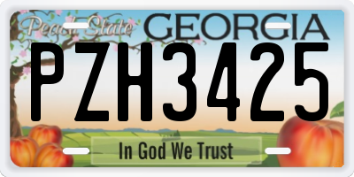 GA license plate PZH3425