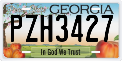GA license plate PZH3427