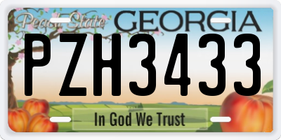 GA license plate PZH3433