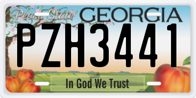 GA license plate PZH3441