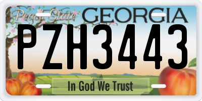 GA license plate PZH3443